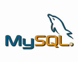 MySQL