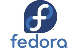 fedora